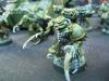 Click to view gallery